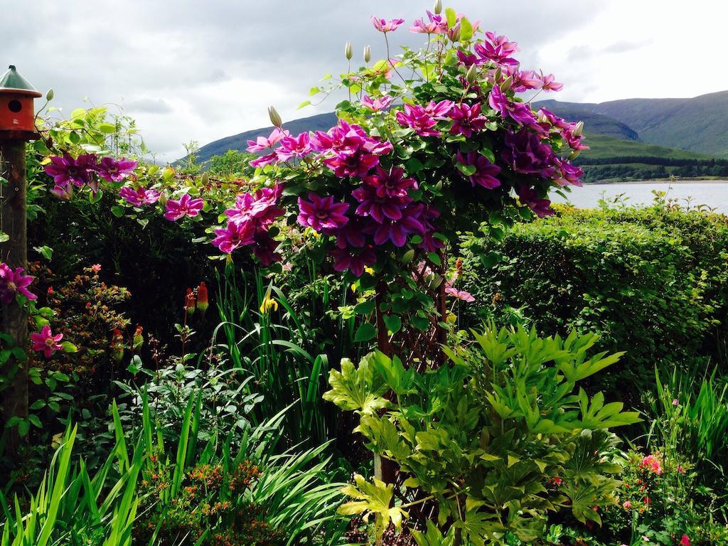 Hillview Guest House Fort William Eksteriør billede